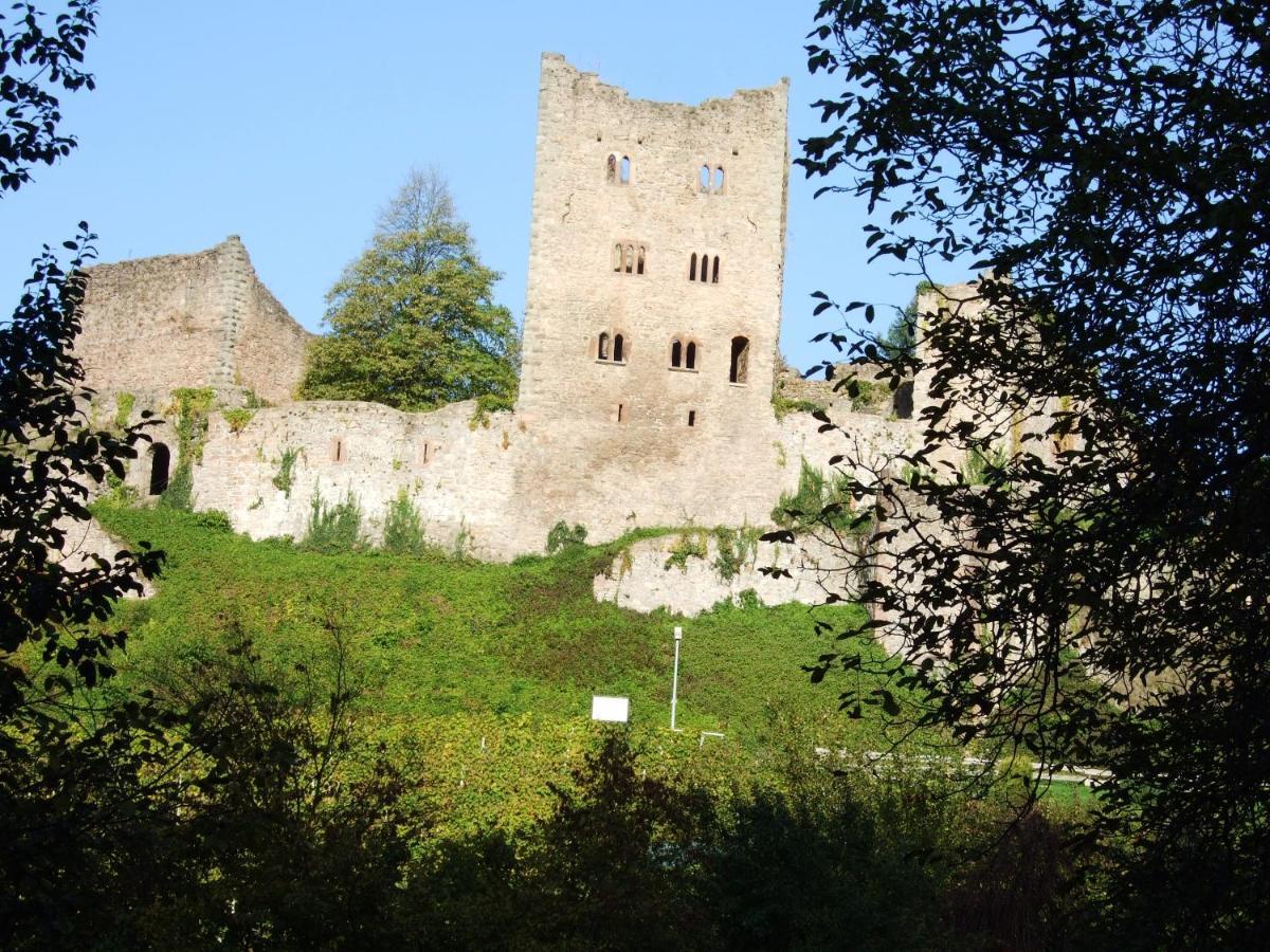 Ferienhaus Mayer in der sonnigen Ortenau Oberkirch  Exterior foto